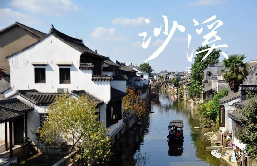 农村常见构树，连房子上都能生长，生命力顽强叫人烦，有什么价值？游戏画面